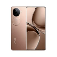 Vivo V40e