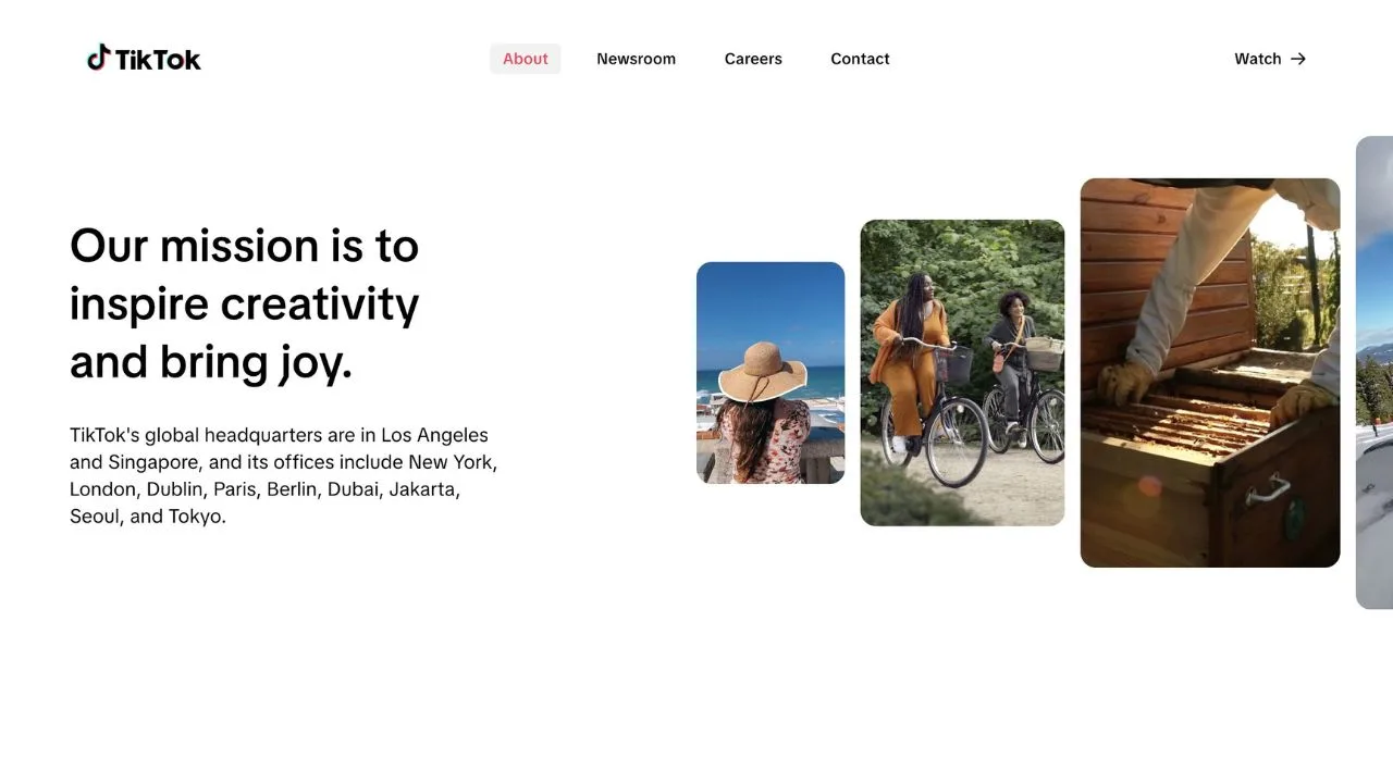 TikTok India comeback? Users claim website is working again