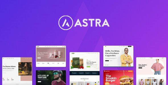 Astra Theme 4.11.14 + Portfolio 1.13.3 – Most Popular WordPress Theme