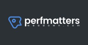 Perfmatters 2.5.4 – Lightweight WordPress Performance Plugin