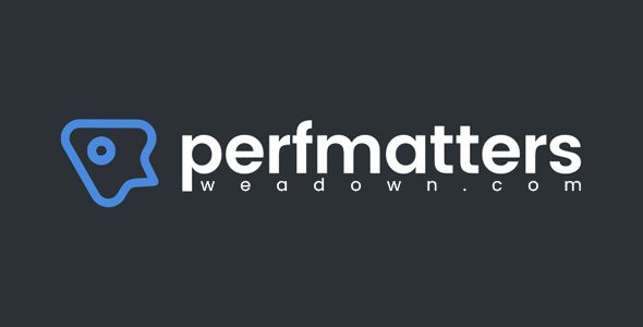 Perfmatters 2.5.4 – Lightweight WordPress Performance Plugin